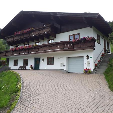 Ferienwohnung Wieser Reizegg 7, 5652 Dienten Dienten am Hochkoenig Luaran gambar
